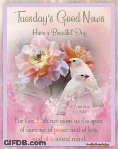 A Card That Says Tuesday 'S Good News Have A Beautiful Day On It GIF