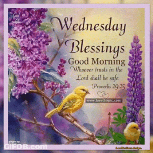 A Card That Says Wednesday Blessings Good Morning Whoever Trusts In The Lord Shall Be Safe GIF