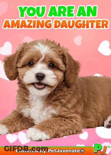 A Card That Says You Are An Amazing Daughter With A Brown And White Dog GIF