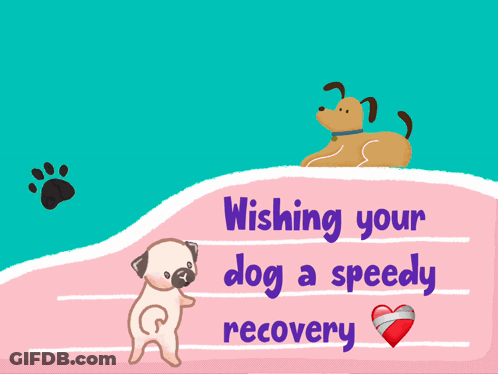 A Card With A Dog And The Words Wishing Your Dog A Speedy Recovery On It GIF