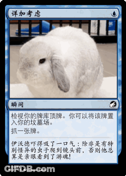 A Card With A Picture Of A Rabbit And Chinese Writing GIF