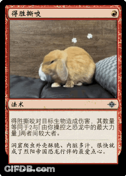A Card With A Picture Of A Rabbit And Chinese Writing GIF