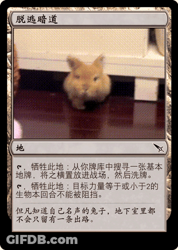 A Card With A Picture Of A Rabbit On It GIF