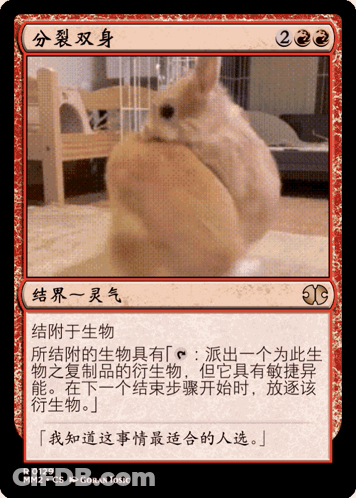 A Card With A Picture Of A Rabbit On It In Chinese GIF