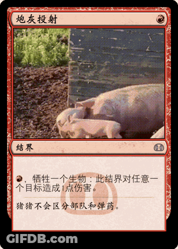 A Card With A Picture Of Pigs And Chinese Writing On It GIF