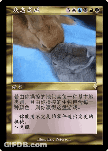 A Card With Chinese Writing And A Picture Of A Cat And Rabbit GIF