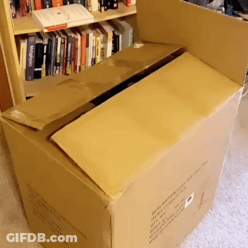 A Cardboard Box Has The Word Description On It GIF