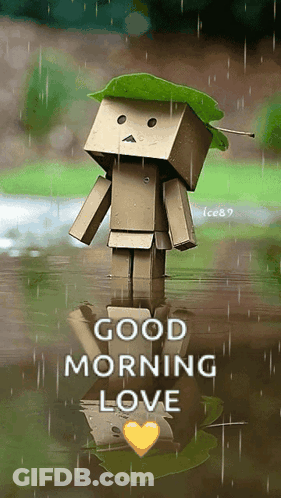 A Cardboard Box With A Green Leaf On Its Head Is In The Water With The Words Good Morning Love Below It GIF