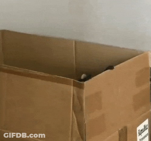 A Cardboard Box With A Label On It That Says ' Fragile ' On It GIF