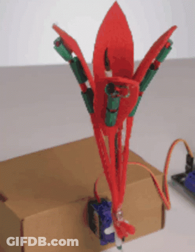 A Cardboard Box With A Red And Green Object On It GIF