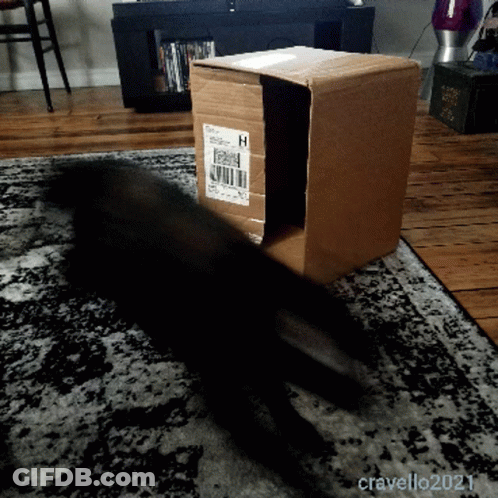 A Cardboard Box With A Sticker On It That Says H On It GIF