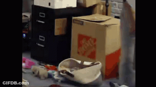 A Cardboard Box With The Word Home Depot On It Is Sitting On A Messy Floor . GIF
