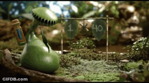 A Carnivorous Plant Is Standing Next To A Sign That Has The Number 40 On It GIF