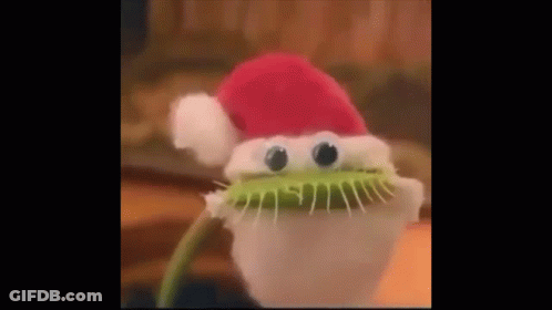 A Carnivorous Plant Wearing A Santa Hat With Googly Eyes . GIF
