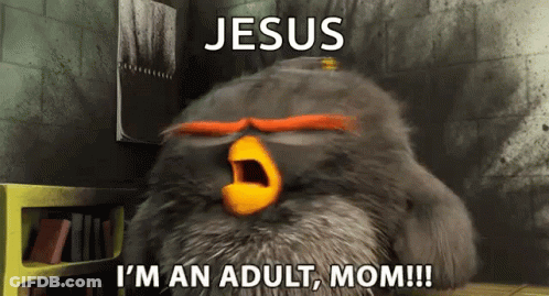 A Cartoon Angry Bird Says Jesus I 'M An Adult Mom GIF
