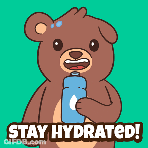 A Cartoon Bear Holding A Water Bottle With The Words Stay Hydrated GIF