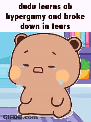 A Cartoon Bear Is Crying With The Words Dudu Learns Ab Hypergamy And Broke Down In Tears GIF