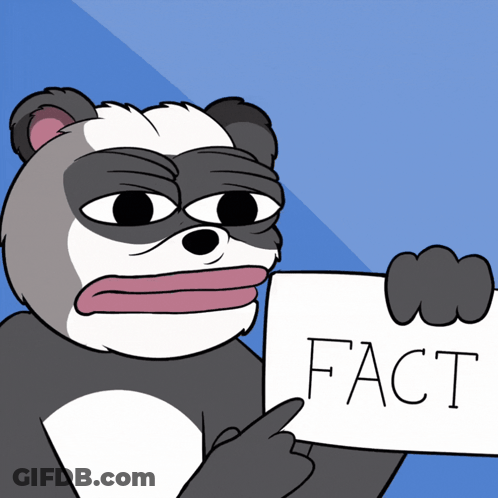 Cartoon Bear Holding Fact Sign GIF