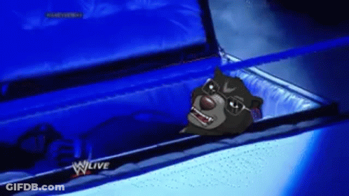 A Cartoon Bear Is In A Coffin With A W Live Logo GIF