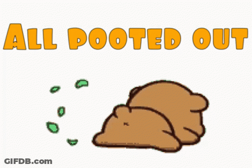 A Cartoon Bear Is Laying Down With The Words All Pooted Out Above Him GIF