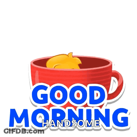 A Cartoon Bear Is Sitting In A Cup With The Words Good Morning Handsome GIF