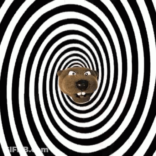 A Cartoon Beaver Is Going Through An Optical Illusion In A Spiral . GIF