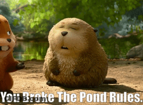 A Cartoon Beaver Says " You Broke The Pond Rules " In Front Of A Pond GIF
