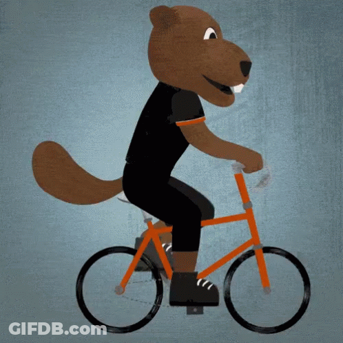 A Cartoon Beaver Wearing A Black Shirt Is Riding An Orange Bike GIF