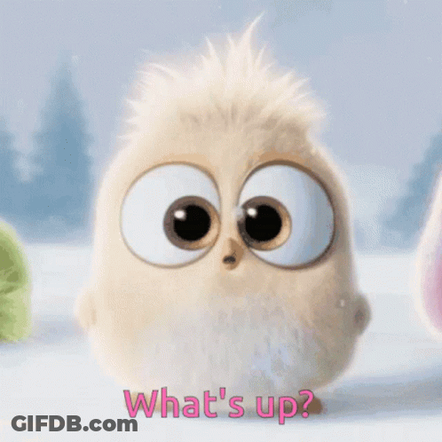 A Cartoon Bird With Big Eyes Is Asking What 'S Up . GIF