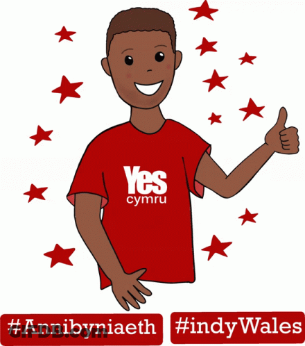 A Cartoon Boy Wearing A Red Yes Cymru Shirt Gives A Thumbs Up GIF