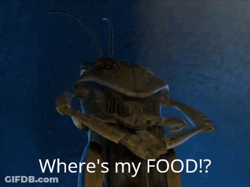 A Cartoon Bug Is Asking Where 'S My Food . GIF