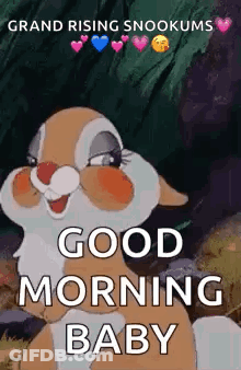 A Cartoon Bunny Is Sitting In The Woods And Says `` Good Morning Baby '' . GIF