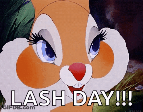 A Cartoon Bunny Says Lash Day !!! GIF