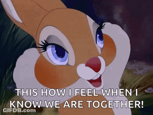 A Cartoon Bunny Says " This How I Feel When I Know We Are Together ! " GIF