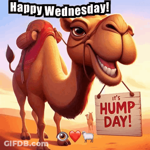 A Cartoon Camel Holding A Sign That Says It 'S Hump Day GIF