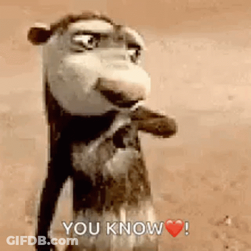 A Cartoon Camel Is Standing In The Desert And Says `` You Know ! '' GIF
