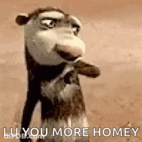 A Cartoon Camel Is Standing In The Desert With The Words `` Lu You More Homey '' Written On It . GIF