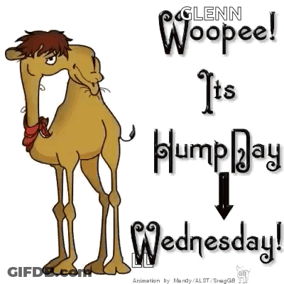 A Cartoon Camel Is Standing Next To A Sign That Says Glenn Woopeel It 'S Humpday Wednesday GIF