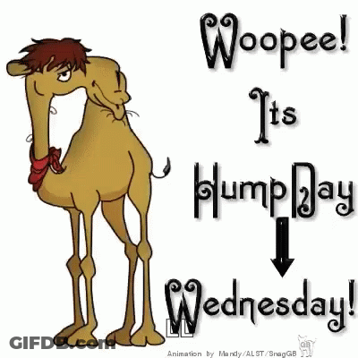 A Cartoon Camel Is Standing Next To A Sign That Says Woopeel It 'S Humpday Wednesday . GIF