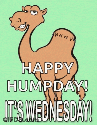 A Cartoon Camel With The Words Happy Hump Day It 'S Wednesday Written Below It GIF
