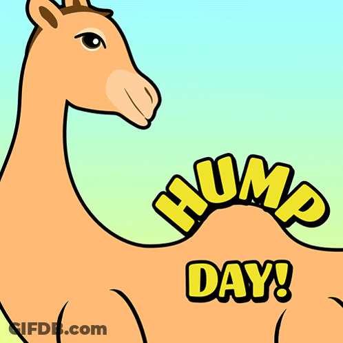 A Cartoon Camel With The Words Happy Hump Written On It GIF
