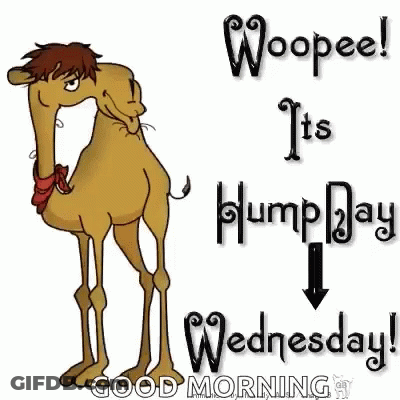 A Cartoon Camel With The Words `` Woopeel It 'S Hump Day ! '' GIF