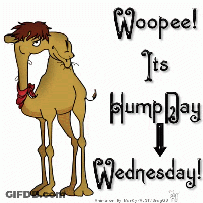 A Cartoon Camel With The Words Woopeel It 'S Hump Day Written Below It GIF