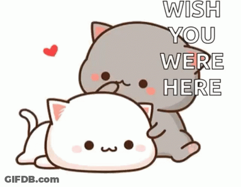 A Cartoon Cat And A White Cat Are Sitting Next To Each Other And The Cat Is Holding The White Cat 'S Head . GIF