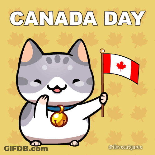 A Cartoon Cat Holding A Canadian Flag With The Words Canada Day Above It GIF