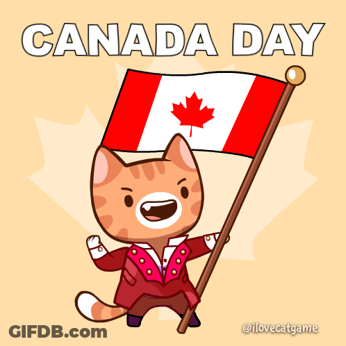 A Cartoon Cat Holding A Canadian Flag With The Words Canada Day Below It GIF