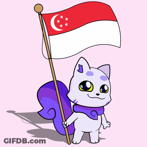 A Cartoon Cat Holding A Flag With A Crescent Moon On It GIF