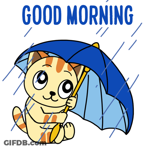 A Cartoon Cat Holding An Umbrella In The Rain With The Words Good Morning GIF