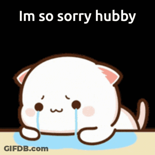A Cartoon Cat Is Crying With The Words Im So Sorry Hubby Above It GIF