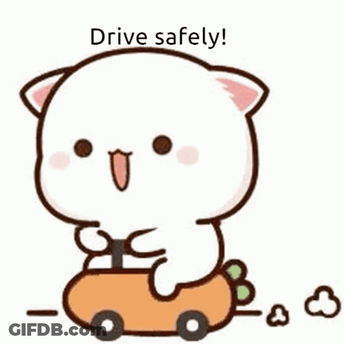 A Cartoon Cat Is Driving A Toy Car And Says `` Drive Safely '' . GIF